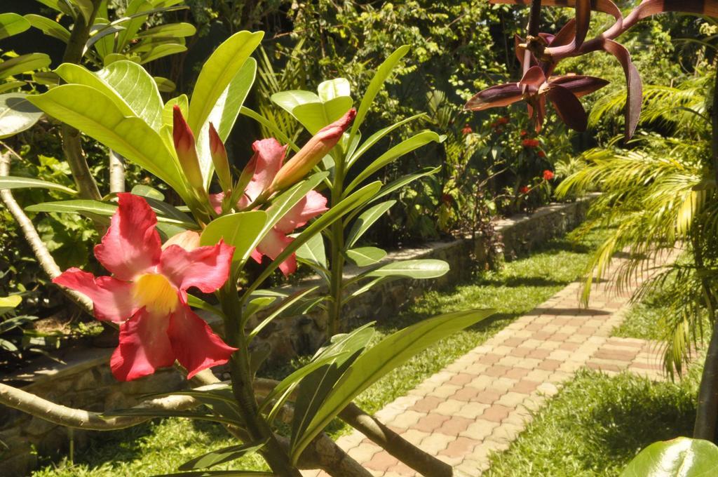 Green Villa Unawatuna Exterior foto